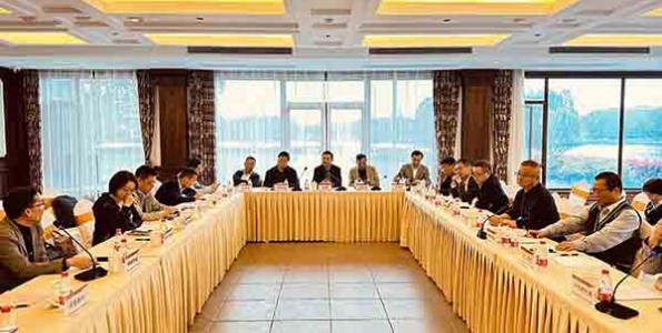 开云app登录入口-开云（中国）组织召开副会长座谈研讨会